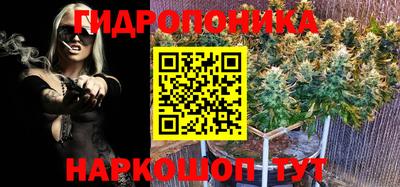 эйфоретик Волгодонск